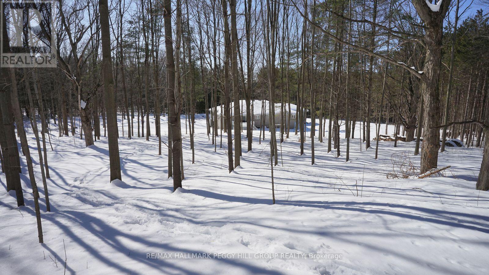 3891 9 Line N, Oro-Medonte, Ontario  L0K 1E0 - Photo 35 - S12785024