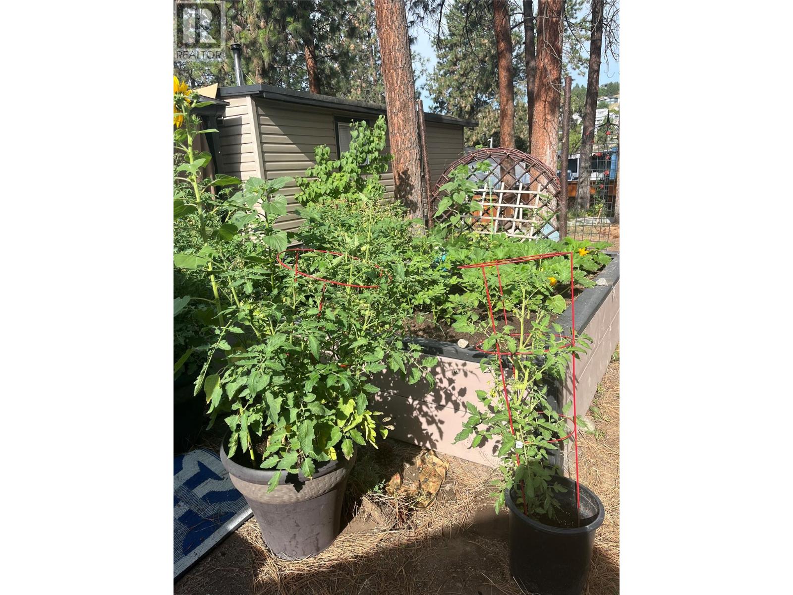 1999 Highway 97 S Unit# 133, West Kelowna, British Columbia  V1Z 1B2 - Photo 27 - 10375875