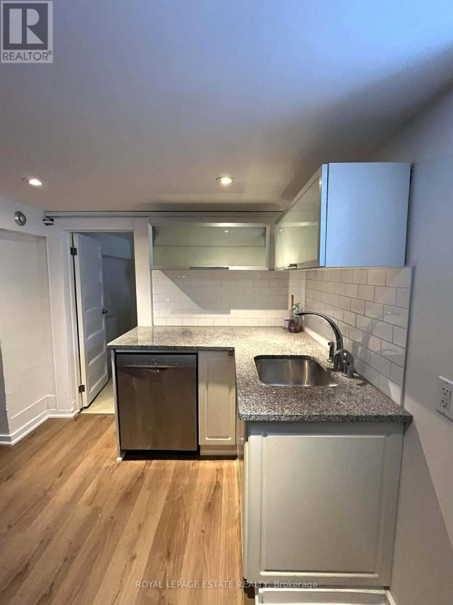 Bsmt Apt - 225 Indian Road, Toronto, Ontario  M6R 2W8 - Photo 4 - W12731500