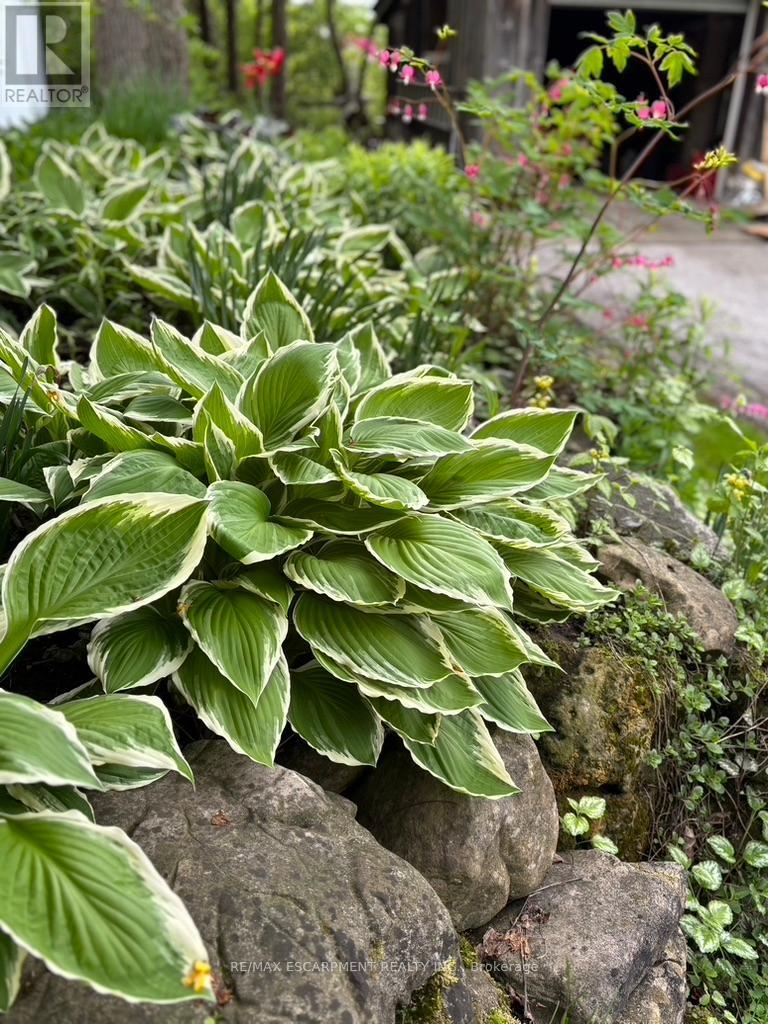 1112 Safari Road, Hamilton, Ontario  L8B 1A4 - Photo 40 - X12785082