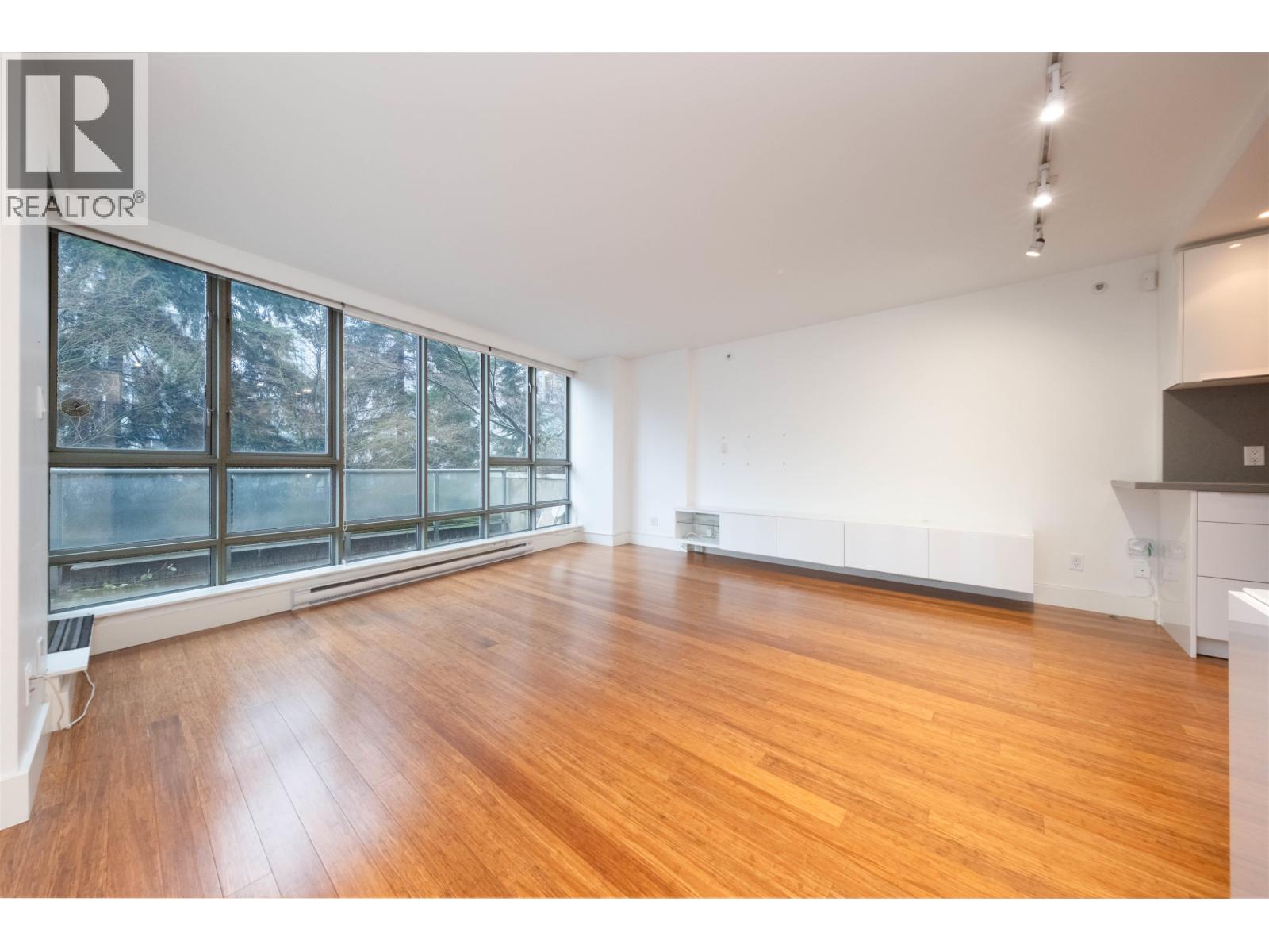 301 930 Cambie Street, Vancouver, British Columbia  V6B 5X6 - Photo 3 - R3088242