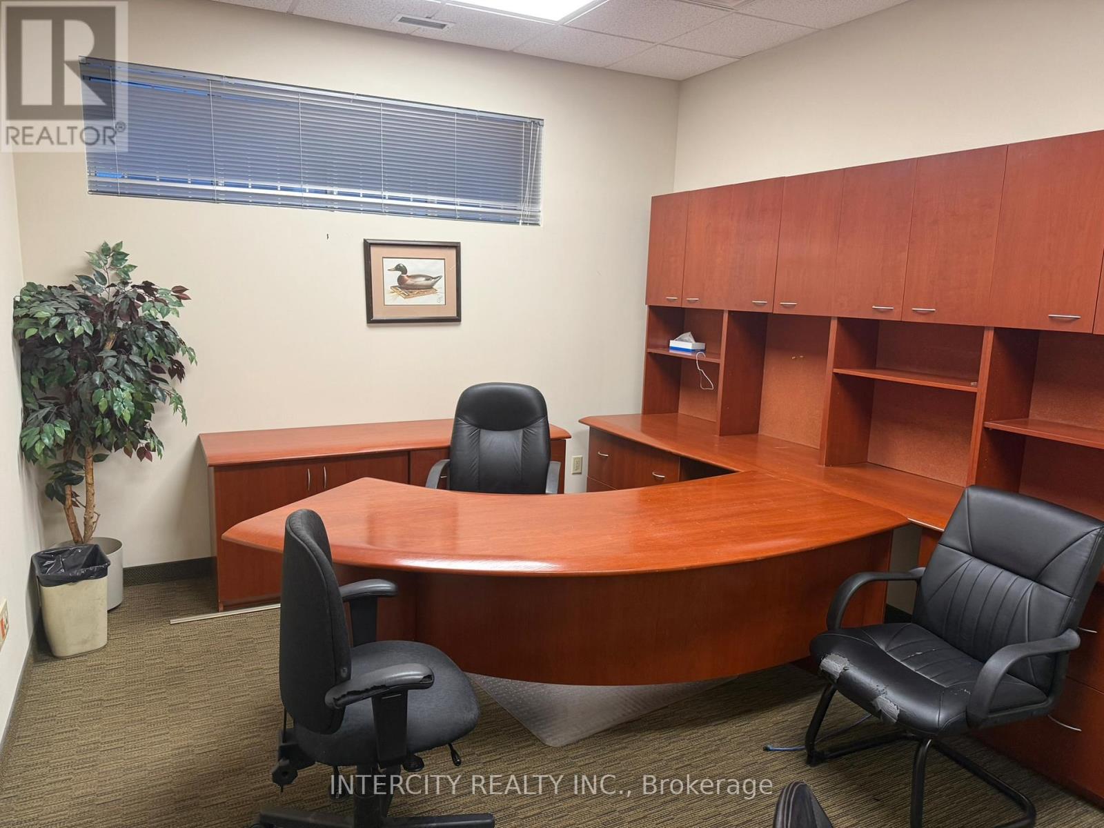 6 - 4646 Dufferin Street, Toronto, Ontario  M3H 5S4 - Photo 10 - W12785200