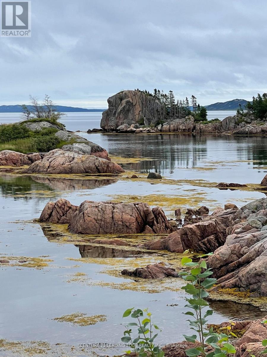 26 Main Road, Newfoundland, Newfoundland & Labrador  A0G 2P0 - Photo 31 - X12785308