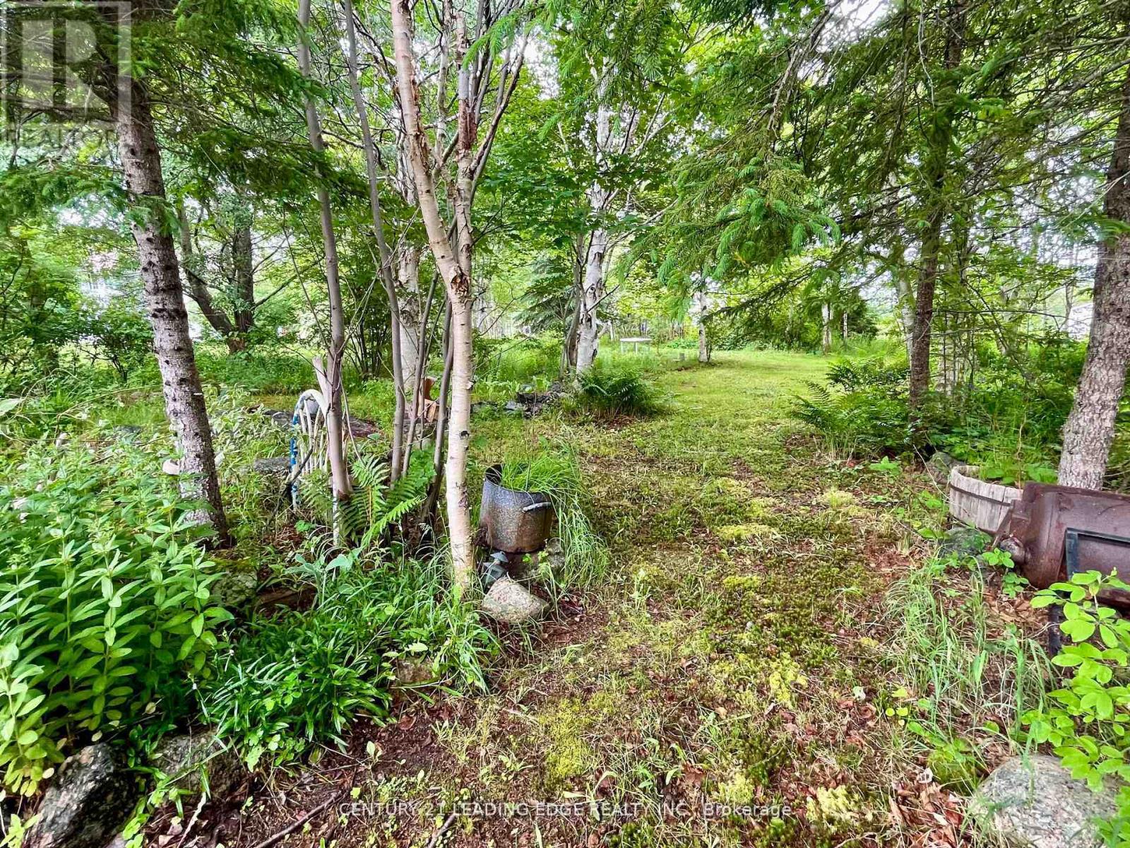 26 Main Road, Newfoundland, Newfoundland & Labrador  A0G 2P0 - Photo 36 - X12785308