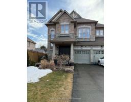BASEMENT - 52 STEPHANIE AVENUE, Brampton, Ontario