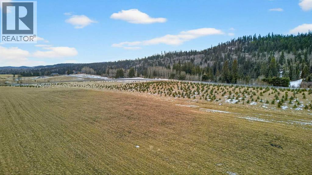 Parkins Road, Rural Foothills County, Alberta  T0L 1K0 - Photo 18 - A2284859