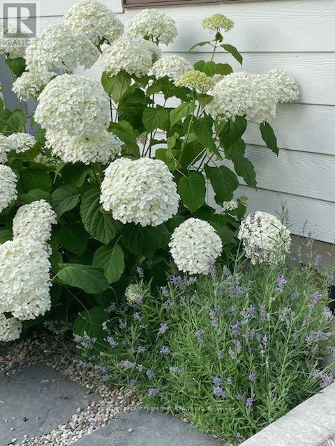 Photo 46 of 46 for 723 Apricot Drive