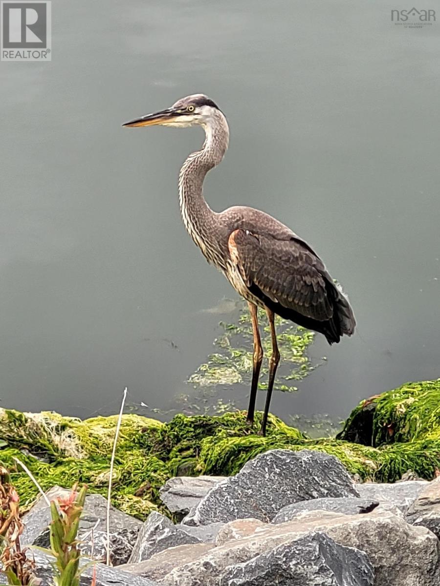305 220 Waterfront Drive, Bedford, Nova Scotia  B4A 0H3 - Photo 24 - 202525119