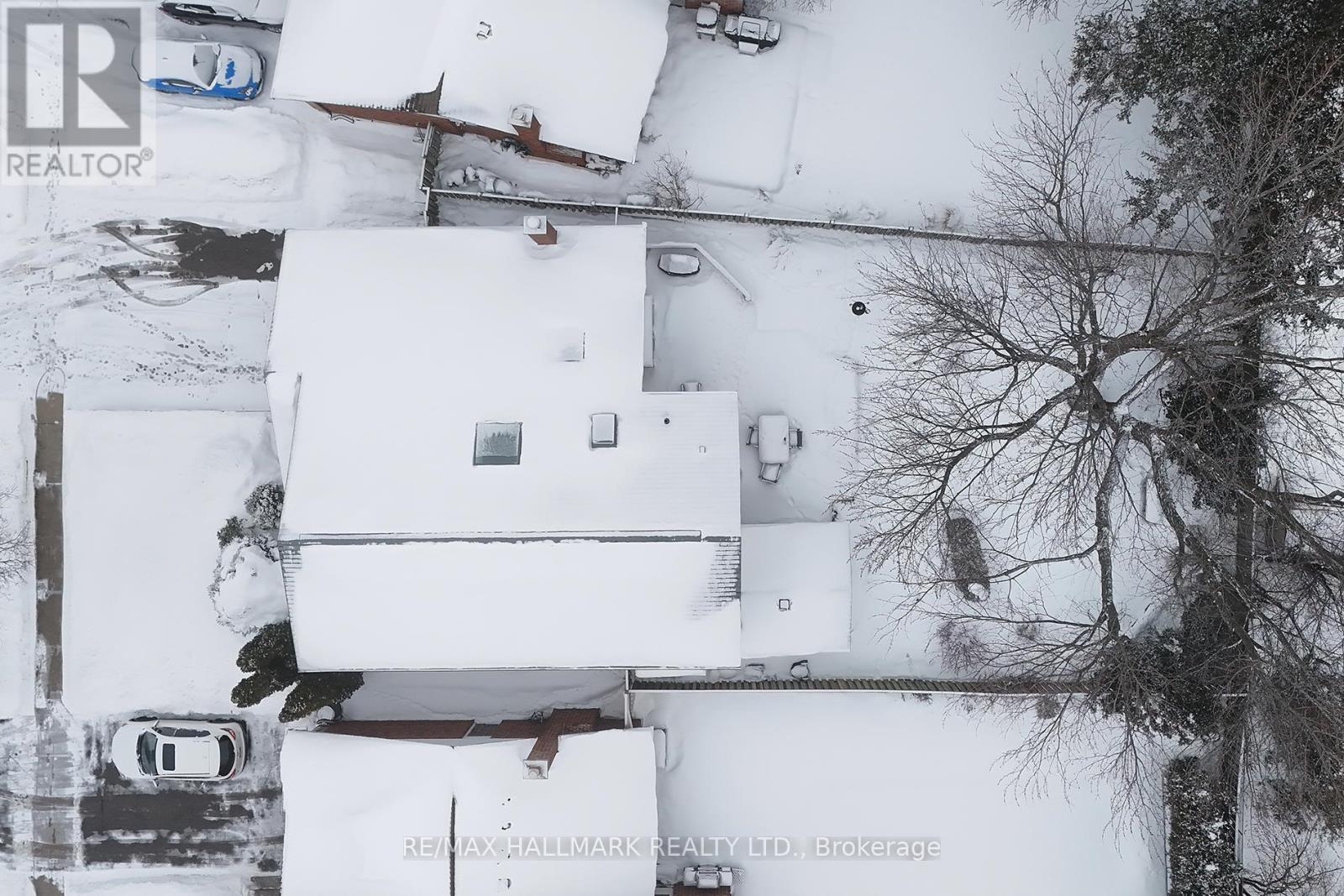 31 Ranchdale Crescent, Toronto, Ontario  M3A 2M1 - Photo 6 - C12785644