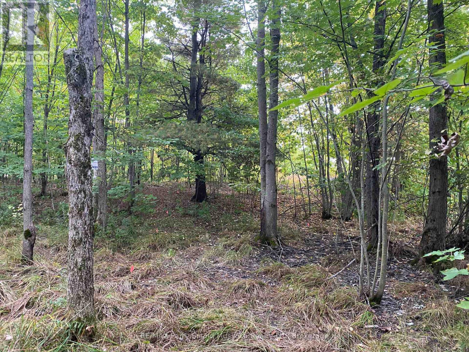 19 TURTLE LANE, McKellar, Ontario