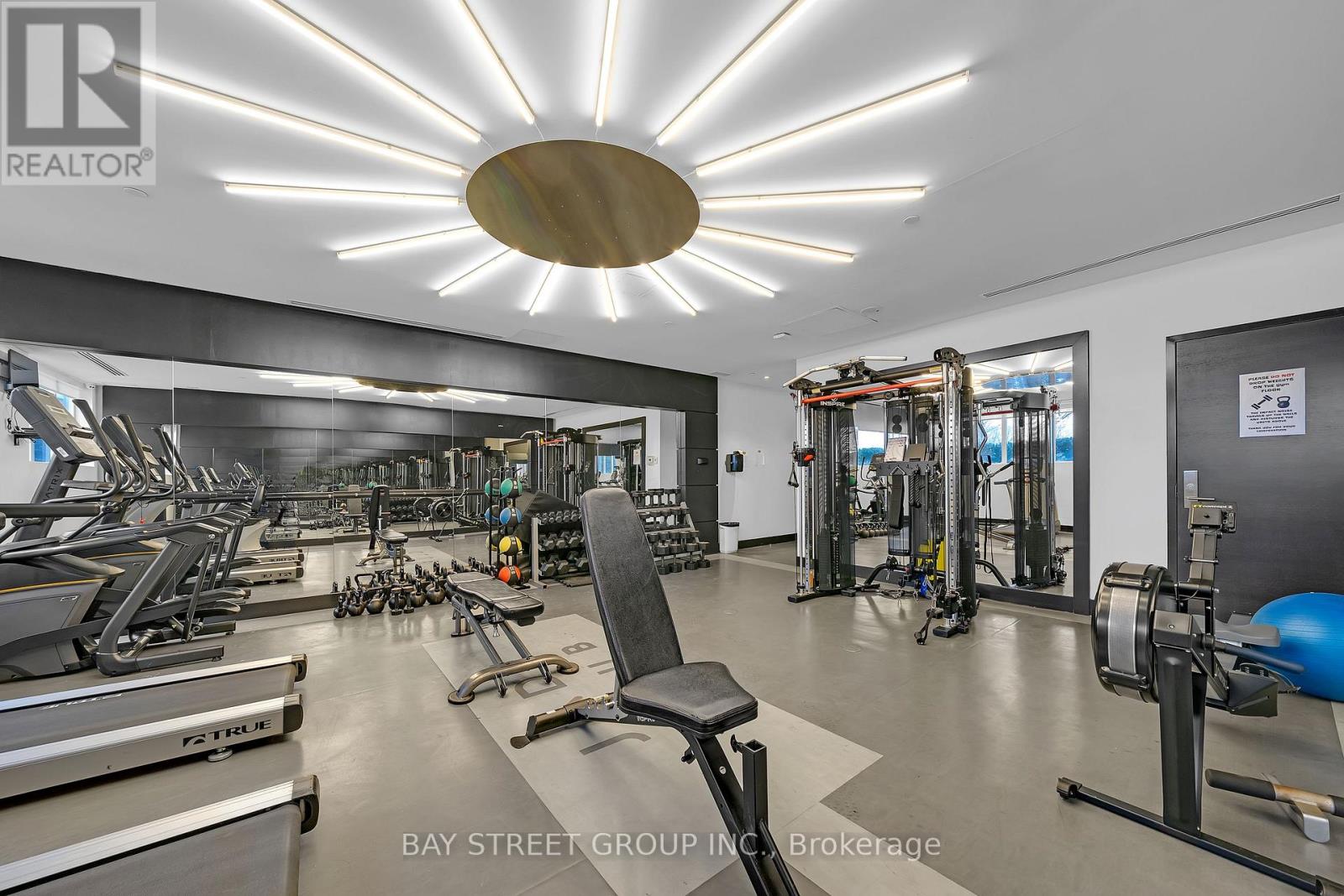 225 - 399 Spring Garden Avenue, Toronto, Ontario  M2N 3H6 - Photo 23 - C12785682