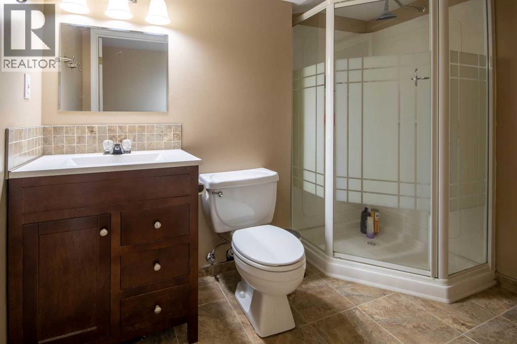 B, 303 Centre Street N, Sundre, Alberta  T0M 1X0 - Photo 28 - A2284925