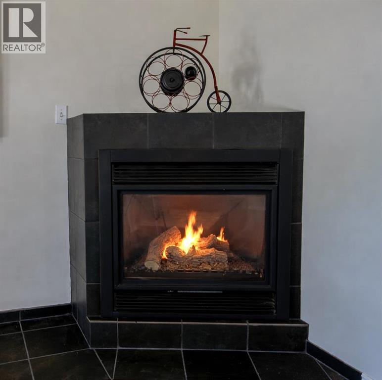 B, 303 Centre Street N, Sundre, Alberta  T0M 1X0 - Photo 5 - A2284925