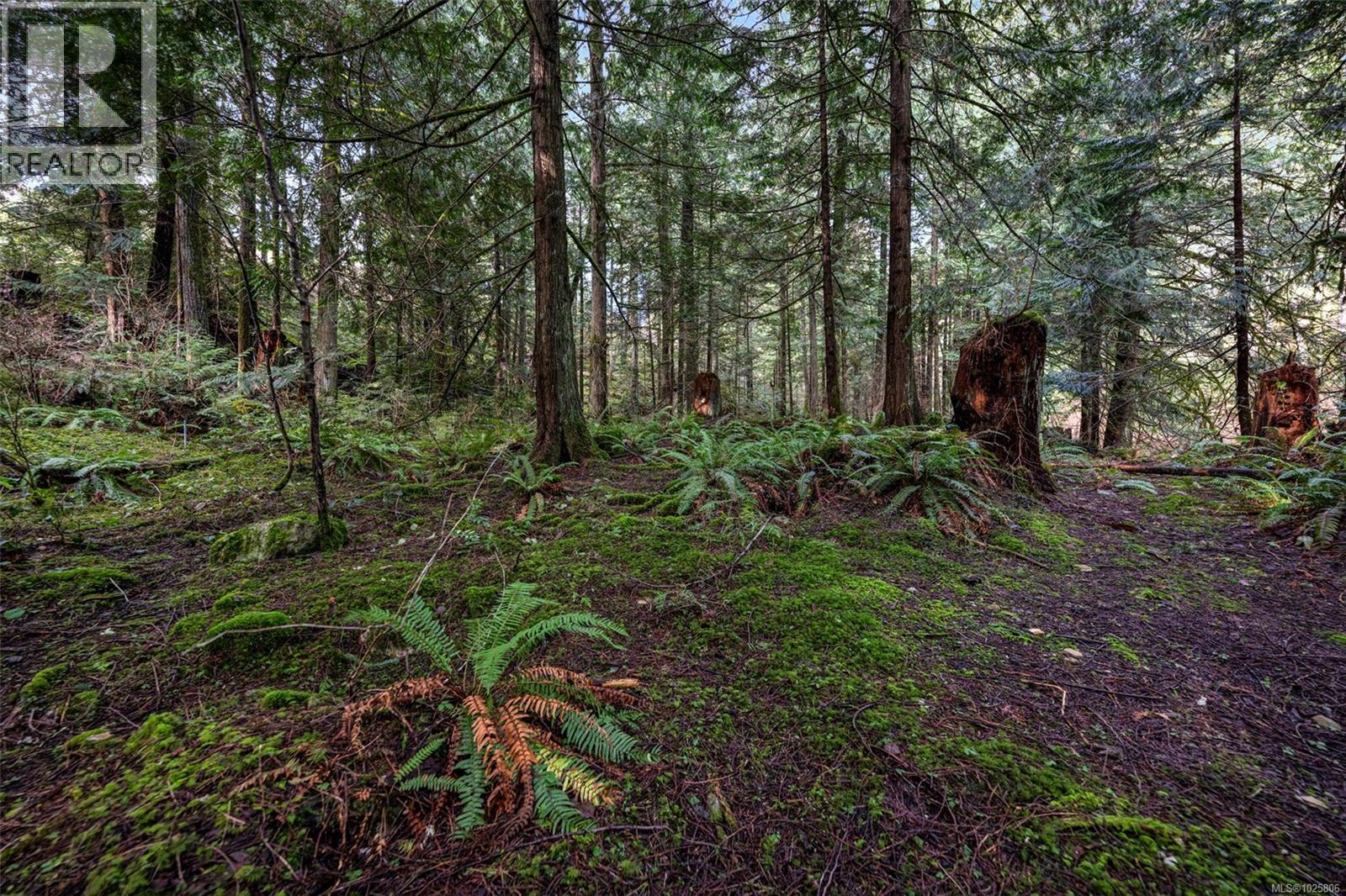 Lot 3 Whittaker Rd, Malahat, British Columbia  V0R 2L0 - Photo 10 - 1025806