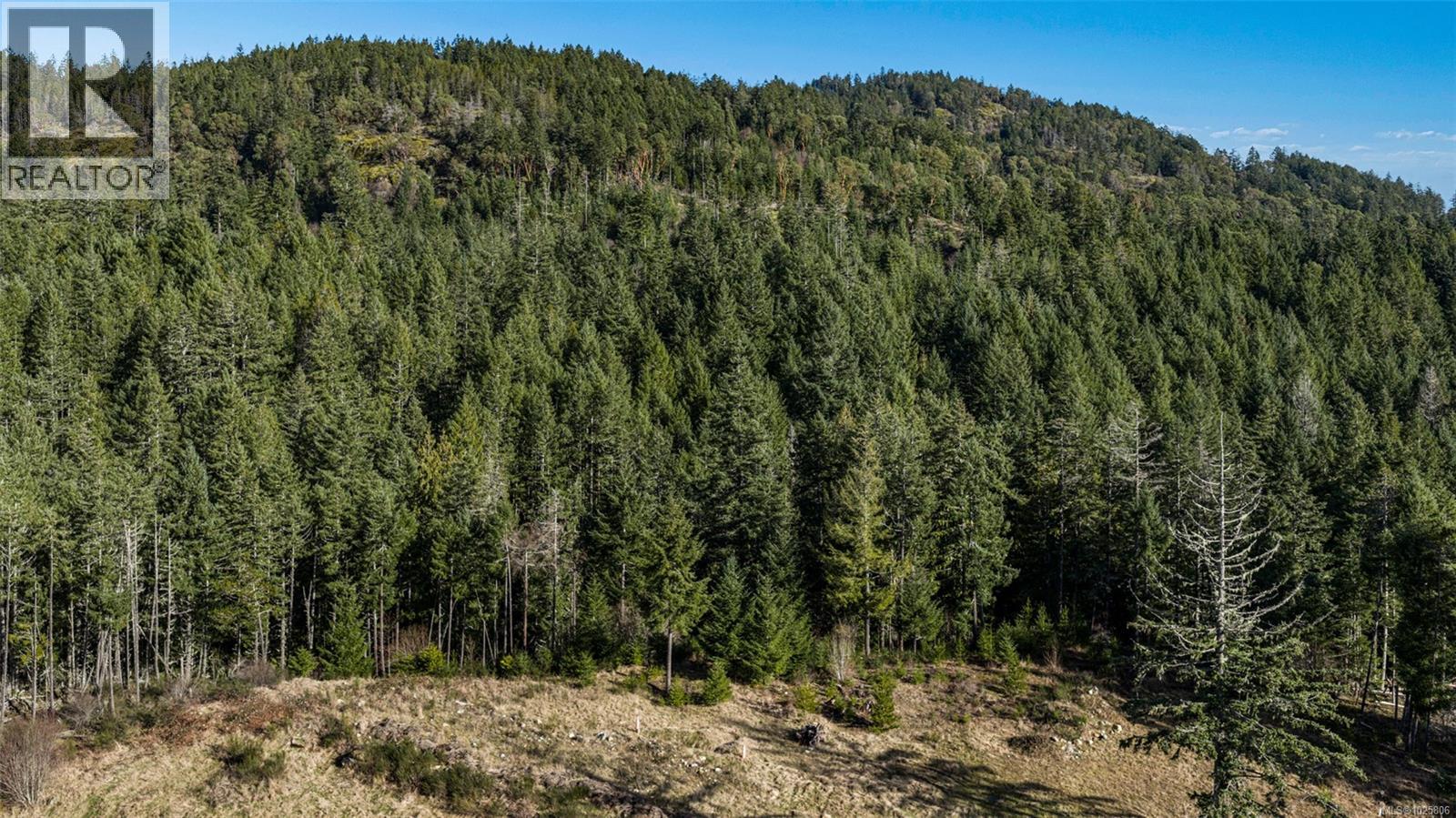 Lot 3 Whittaker Rd, Malahat, British Columbia  V0R 2L0 - Photo 29 - 1025806