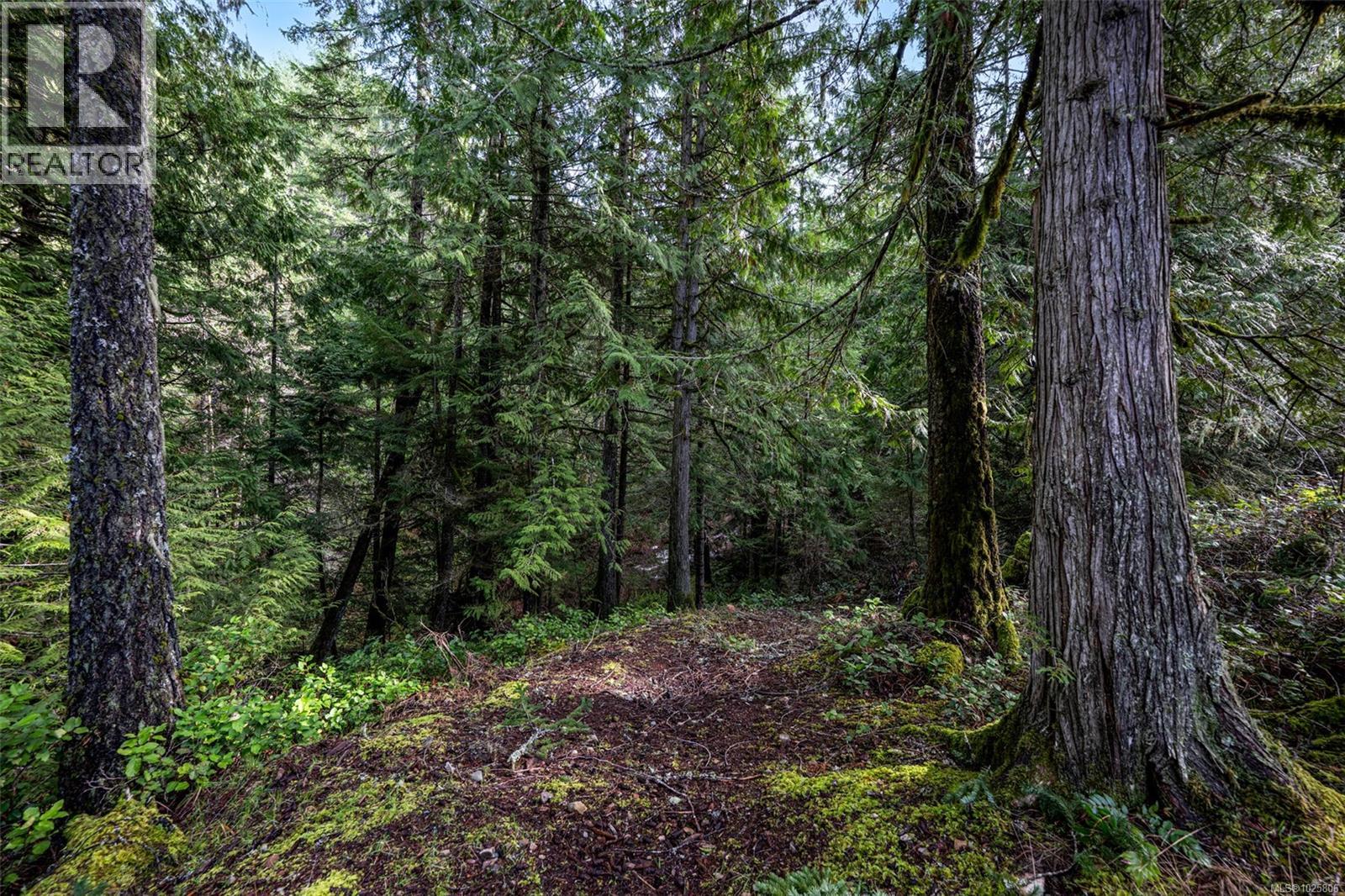 Lot 3 Whittaker Rd, Malahat, British Columbia  V0R 2L0 - Photo 3 - 1025806
