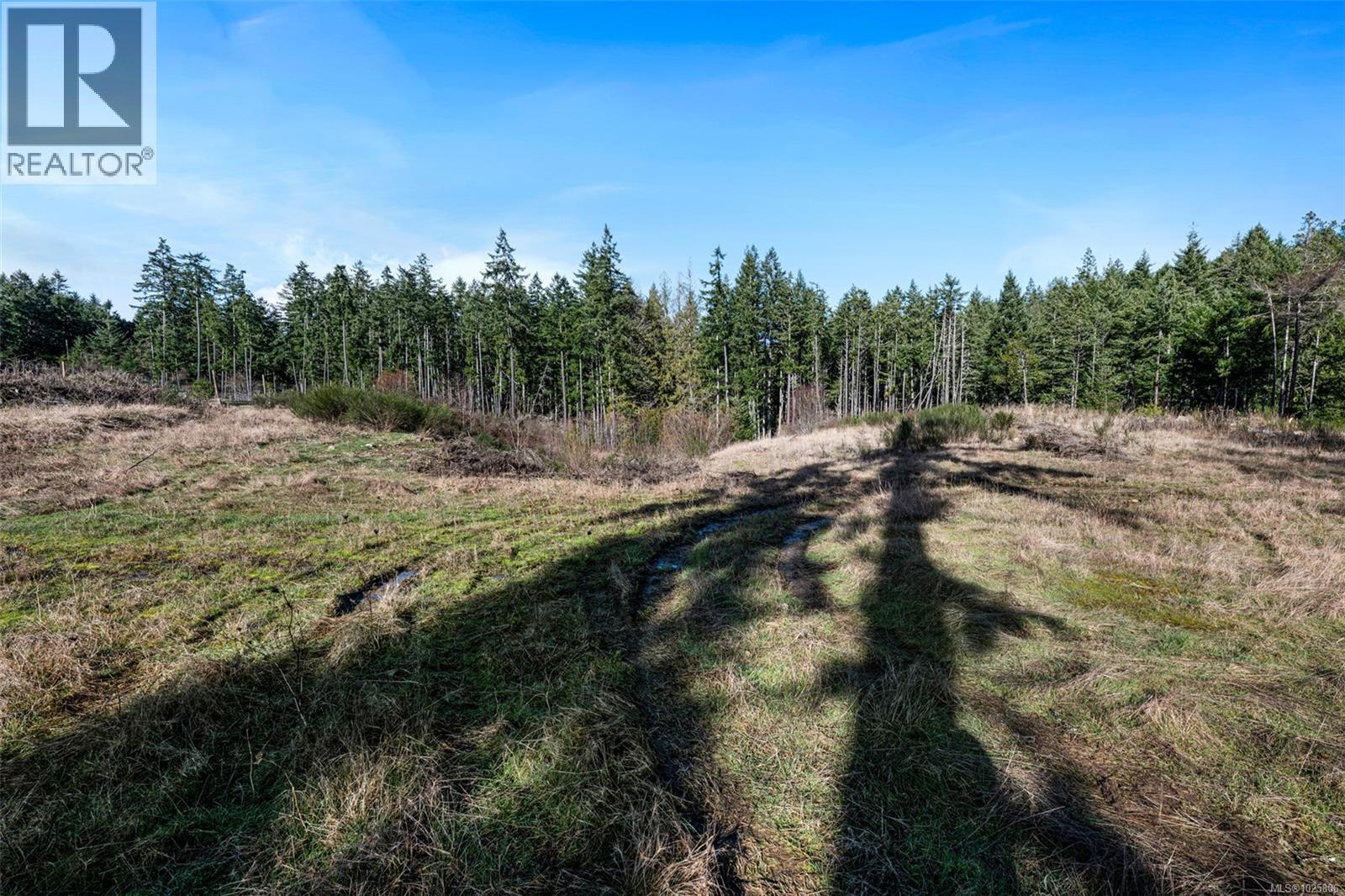 Lot 3 Whittaker Rd, Malahat, British Columbia  V0R 2L0 - Photo 42 - 1025806