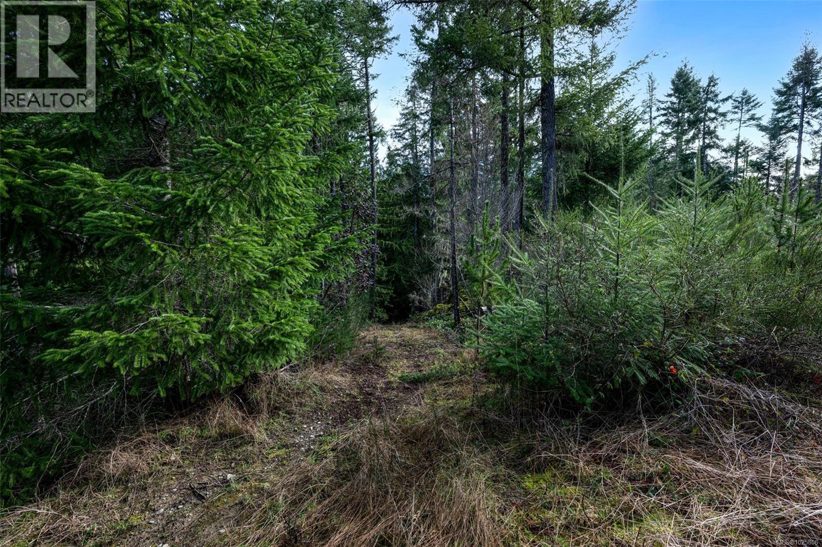 Lot 3 Whittaker Rd, Malahat, British Columbia  V0R 2L0 - Photo 47 - 1025806