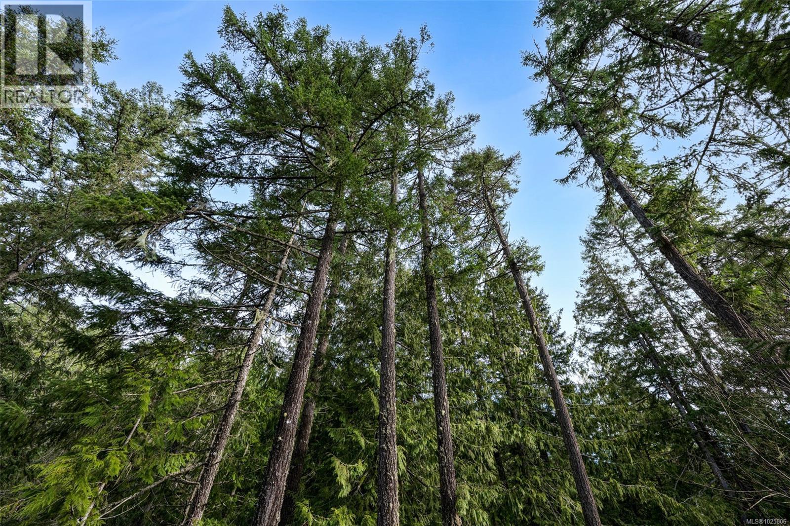 Lot 3 Whittaker Rd, Malahat, British Columbia  V0R 2L0 - Photo 48 - 1025806