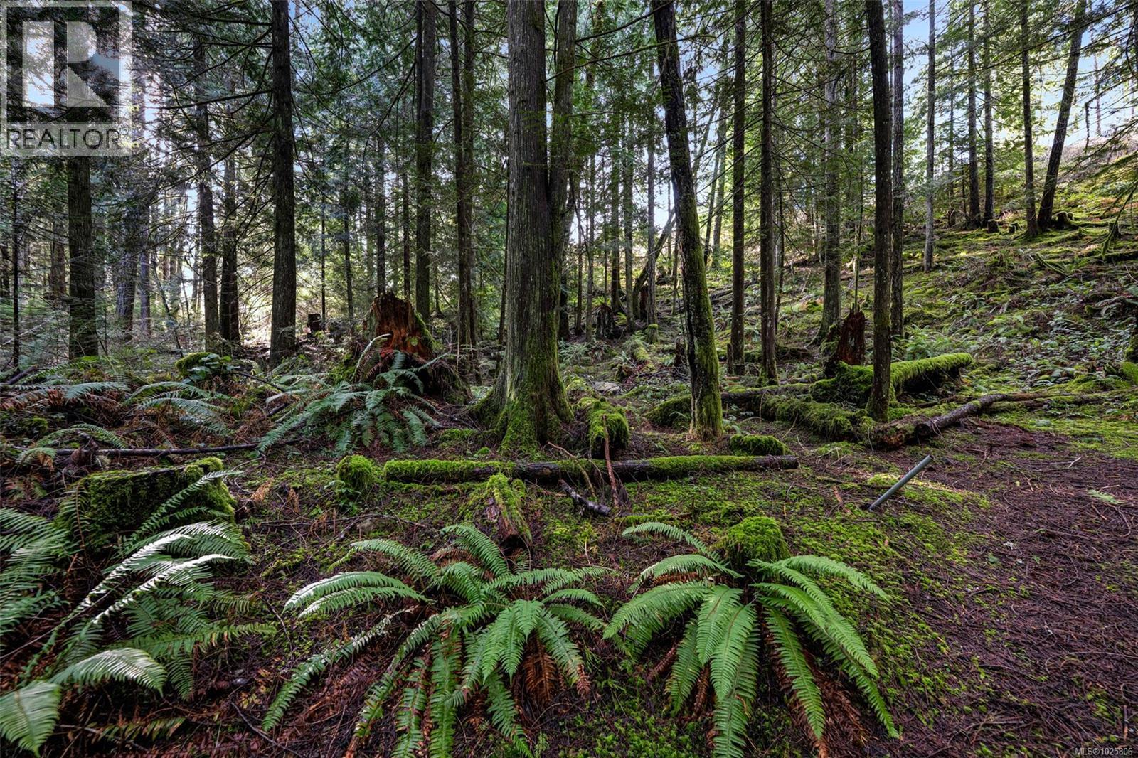 Lot 3 Whittaker Rd, Malahat, British Columbia  V0R 2L0 - Photo 5 - 1025806