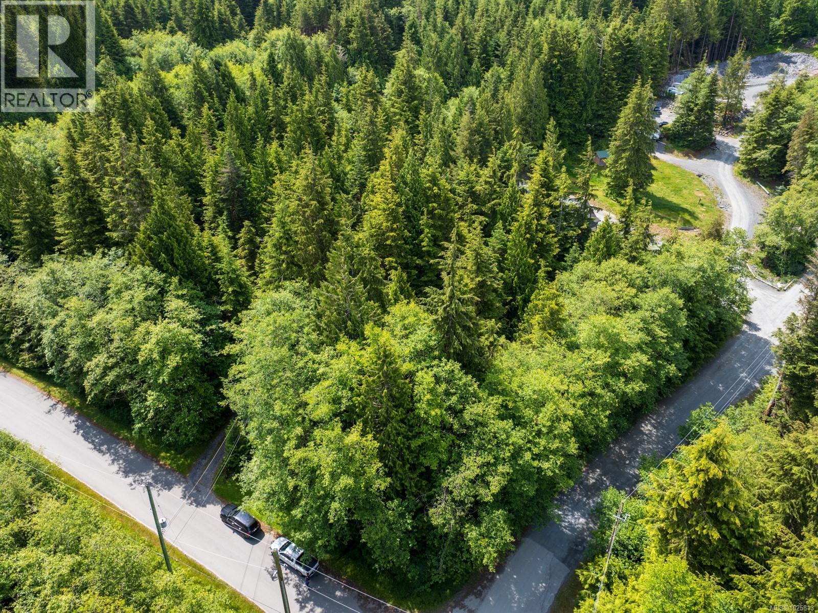 17204 Osprey Pl, Port Renfrew, British Columbia  V0S 1K0 - Photo 5 - 1025813