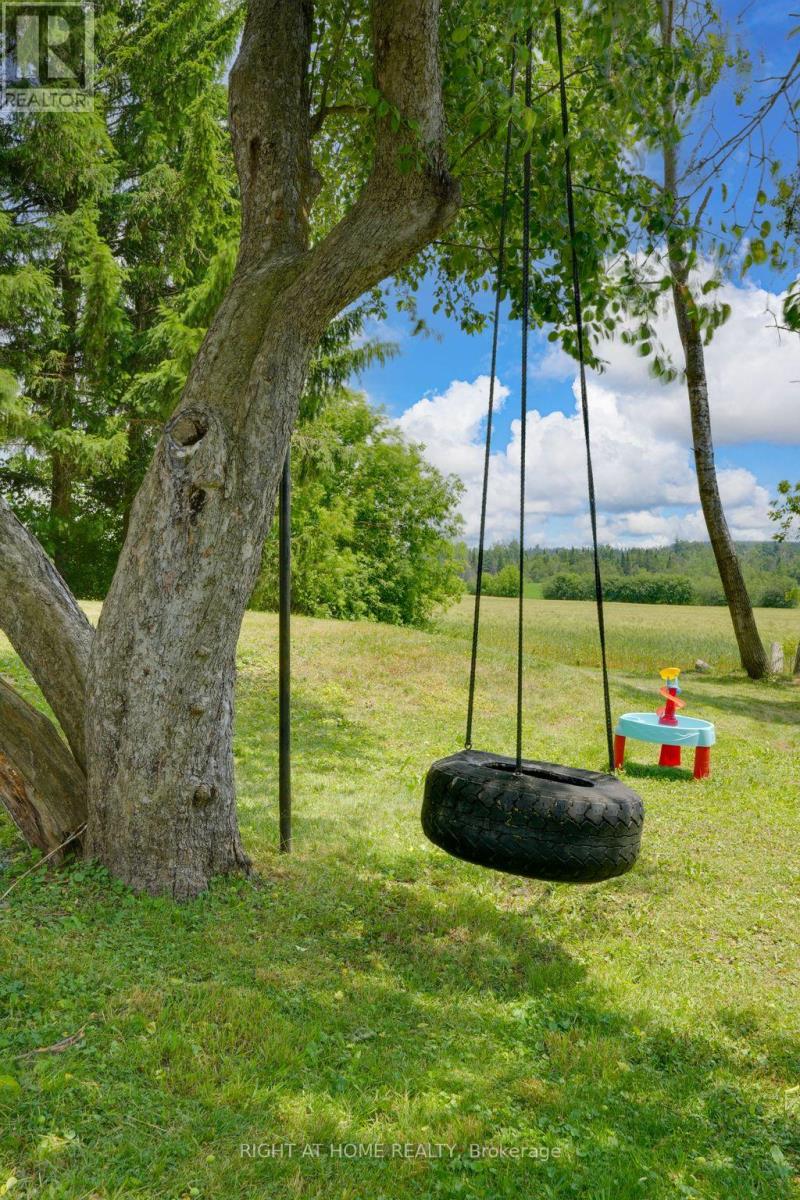 123 John Street, Kawartha Lakes, Ontario  K0M 2T0 - Photo 38 - X12785896