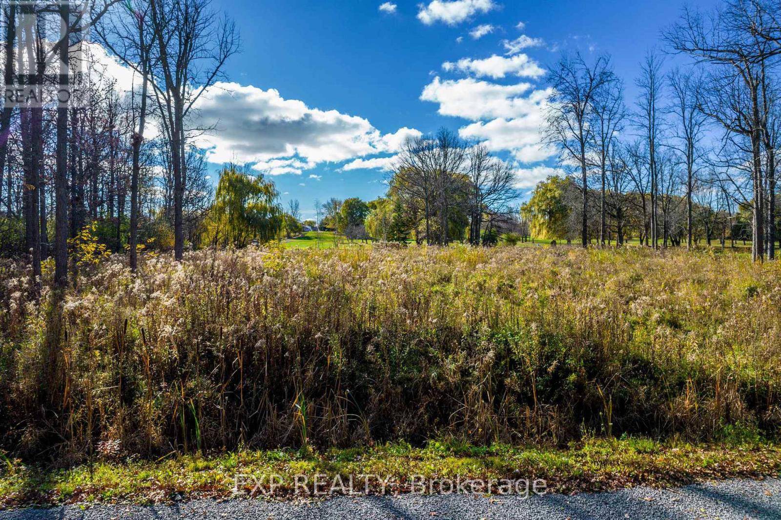 0-11958 Bertie Street, Fort Erie (Crescent Park), Ontario  L0S 1S0 - Photo 3 - X12786000