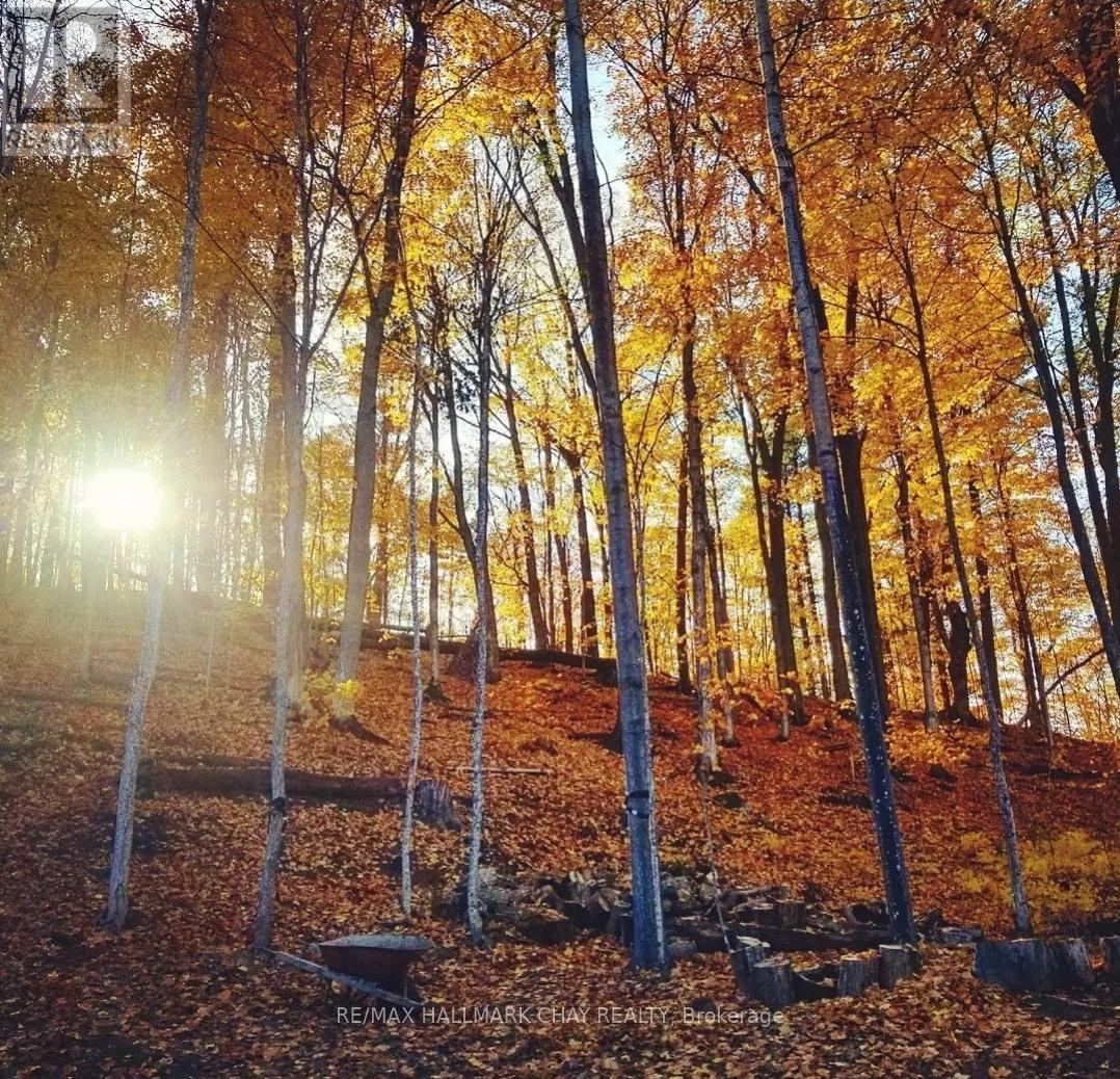 17 Pine Ridge Trail, Oro-Medonte, Ontario  L4M 4Y8 - Photo 49 - S12786004