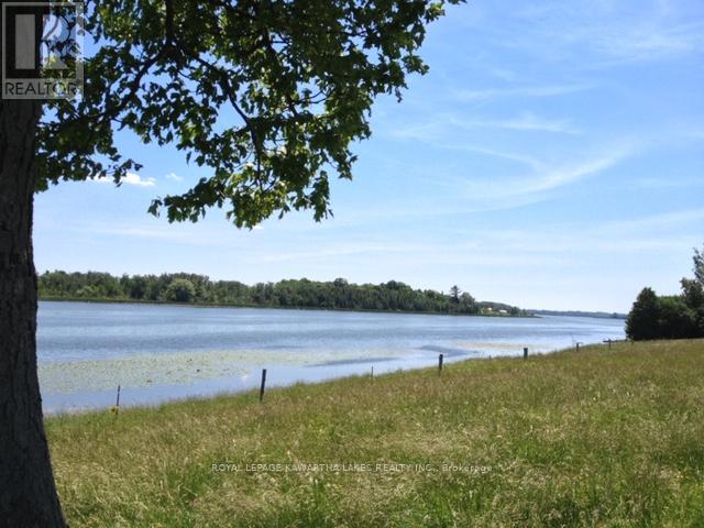 0 O'reilly Lane, Kawartha Lakes (Ops), Ontario  K0M 2T0 - Photo 3 - X12786018
