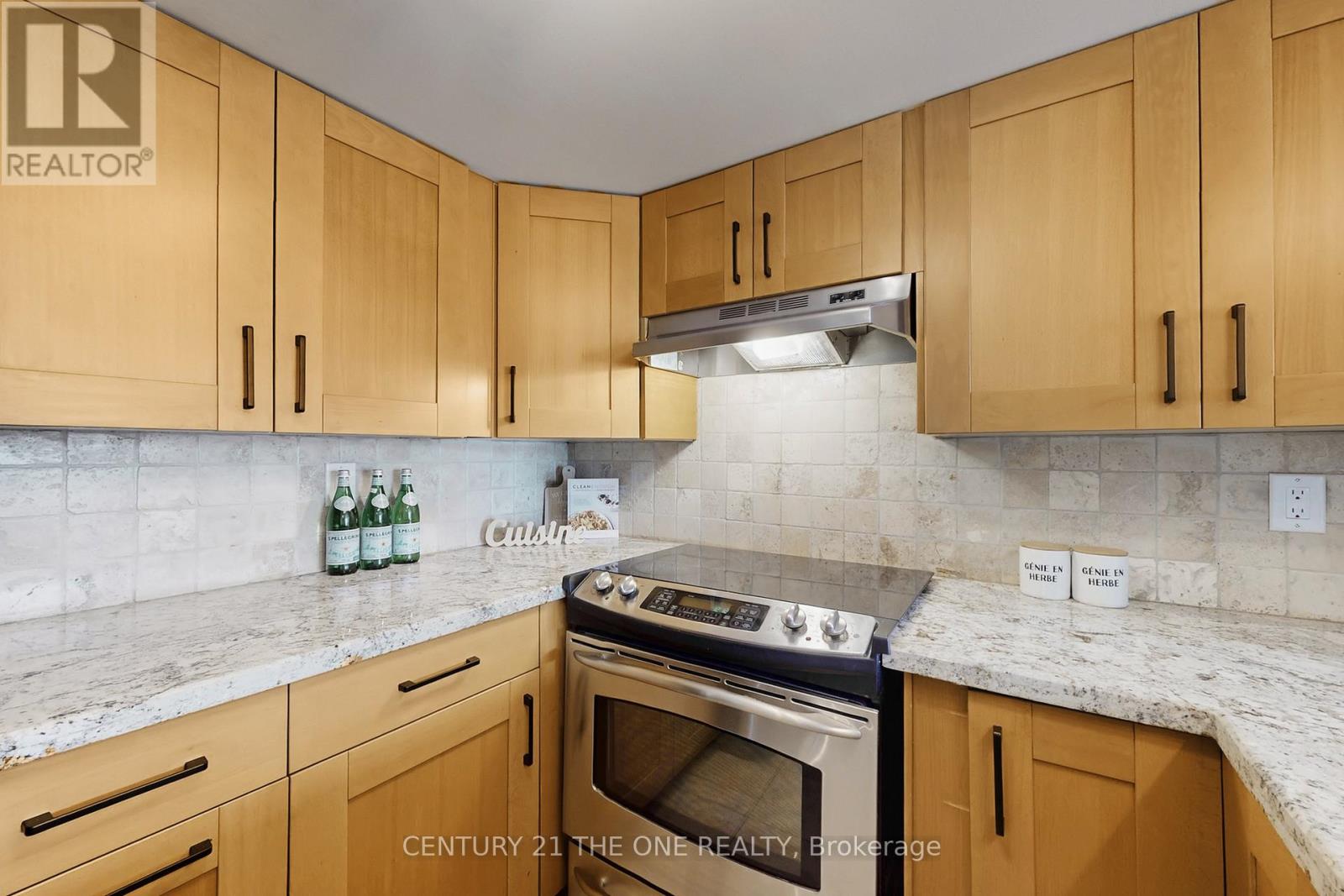 1004 - 75 Weldrick Road E, Richmond Hill, Ontario  L4C 0H9 - Photo 11 - N12778168