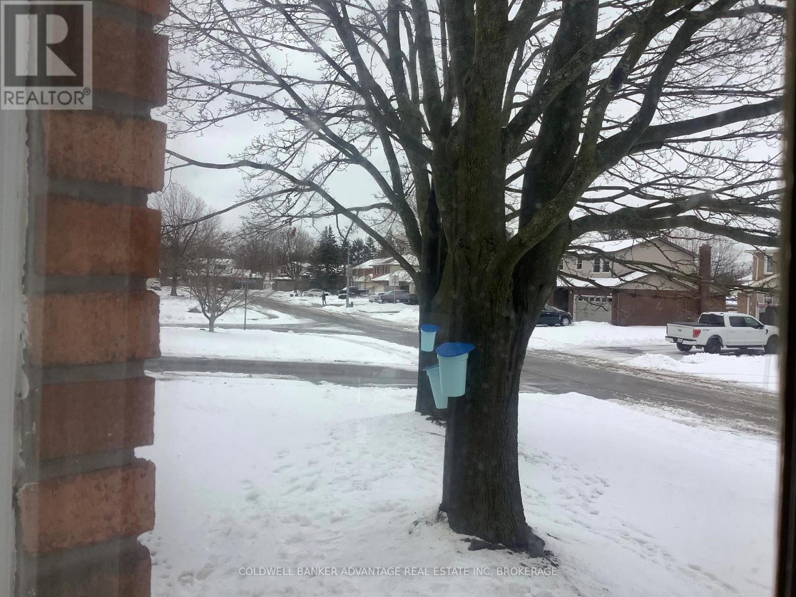 28 Dixon Crescent, Welland, Ontario  L3C 6P4 - Photo 39 - X12786052