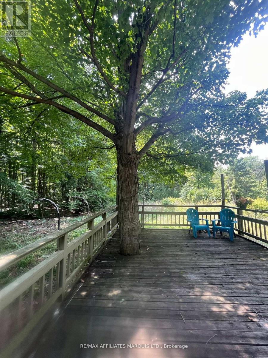 4960 County Rd 34 Road, South Glengarry, Ontario  K0C 2J0 - Photo 24 - X12785906