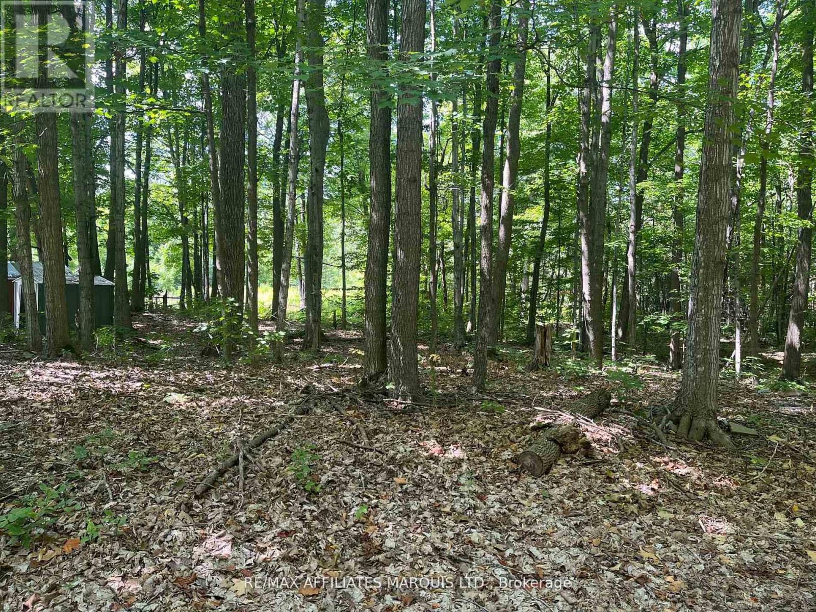 4960 County Rd 34 Road, South Glengarry, Ontario  K0C 2J0 - Photo 25 - X12785906