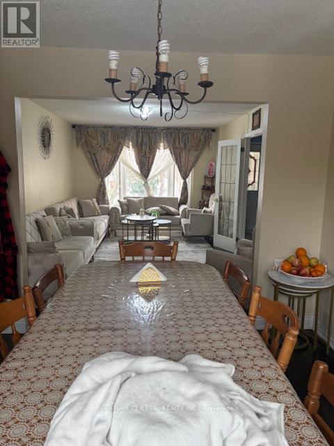 15 SHALLICE COURT, Toronto, Ontario