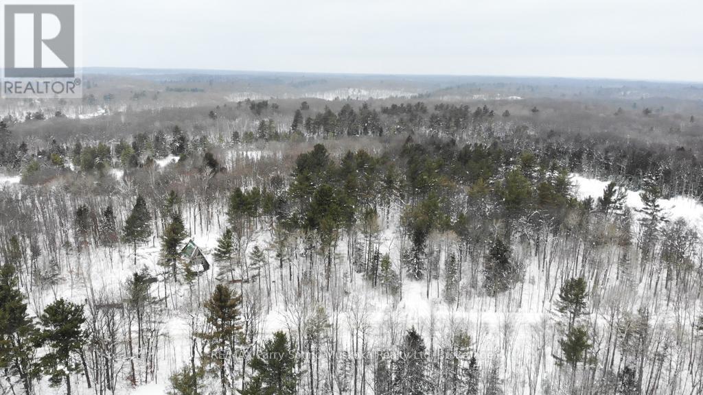 64 Horseshoe Lake Road, Seguin, Ontario  P2A 2W8 - Photo 38 - X12786190