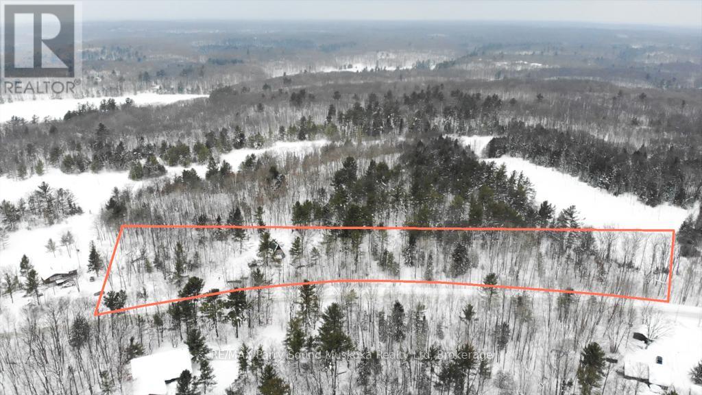 64 Horseshoe Lake Road, Seguin, Ontario  P2A 2W8 - Photo 4 - X12786190