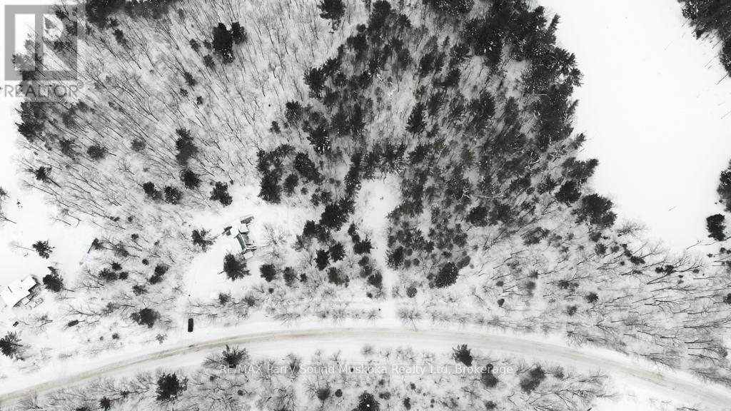 64 Horseshoe Lake Road, Seguin, Ontario  P2A 2W8 - Photo 40 - X12786190