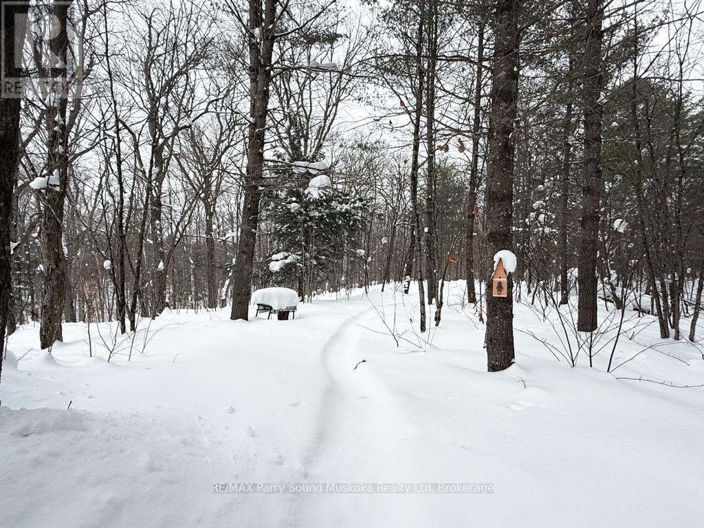 64 Horseshoe Lake Road, Seguin, Ontario  P2A 2W8 - Photo 8 - X12786190