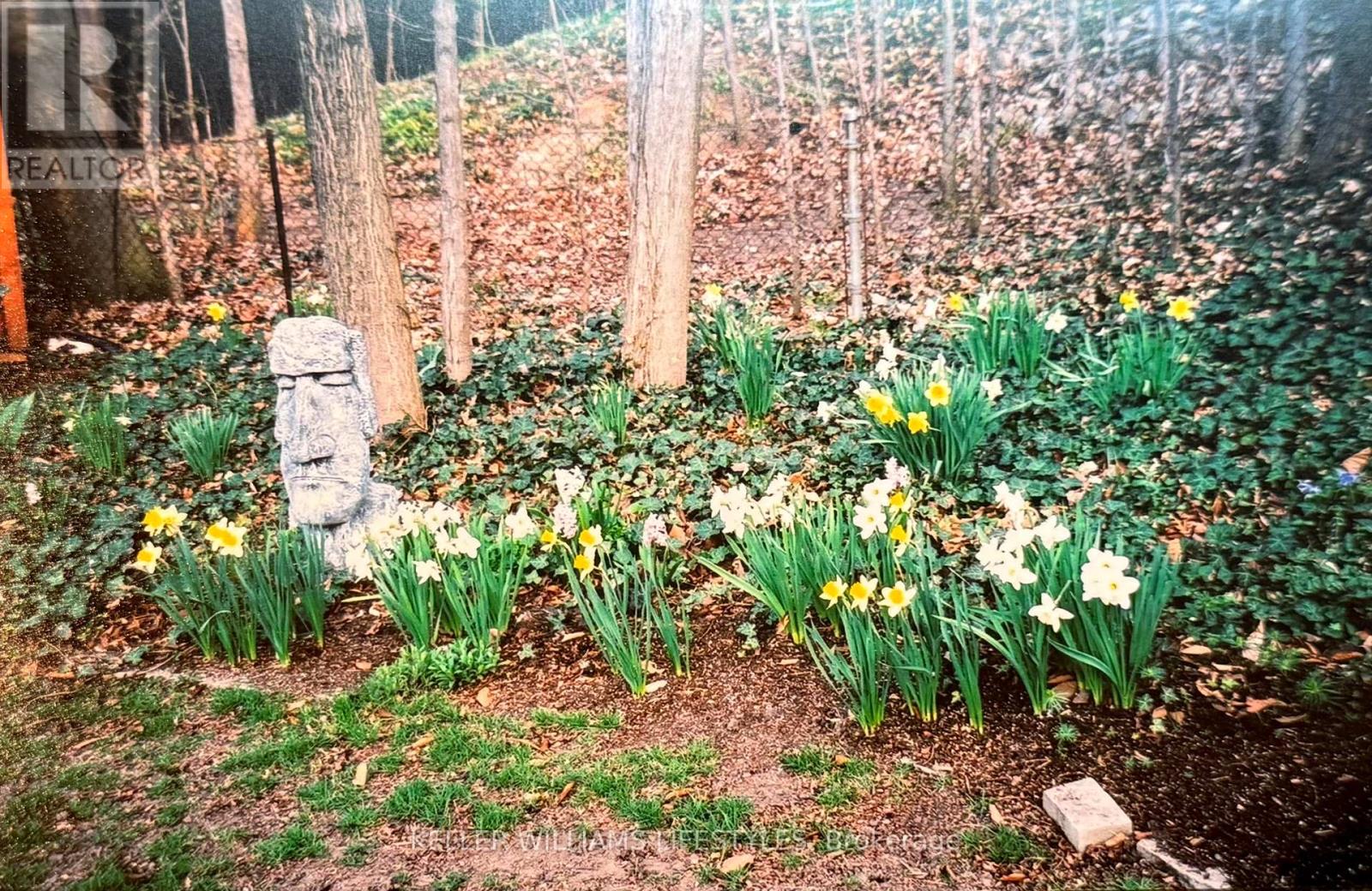 824 Manchester Road, London North, Ontario  N6H 4J6 - Photo 32 - X12786138