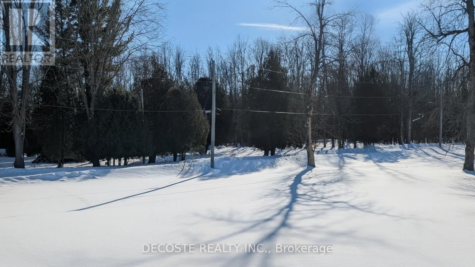 19092 Cameron Street, North Glengarry, Ontario  K0C 1A0 - Photo 6 - X12786144