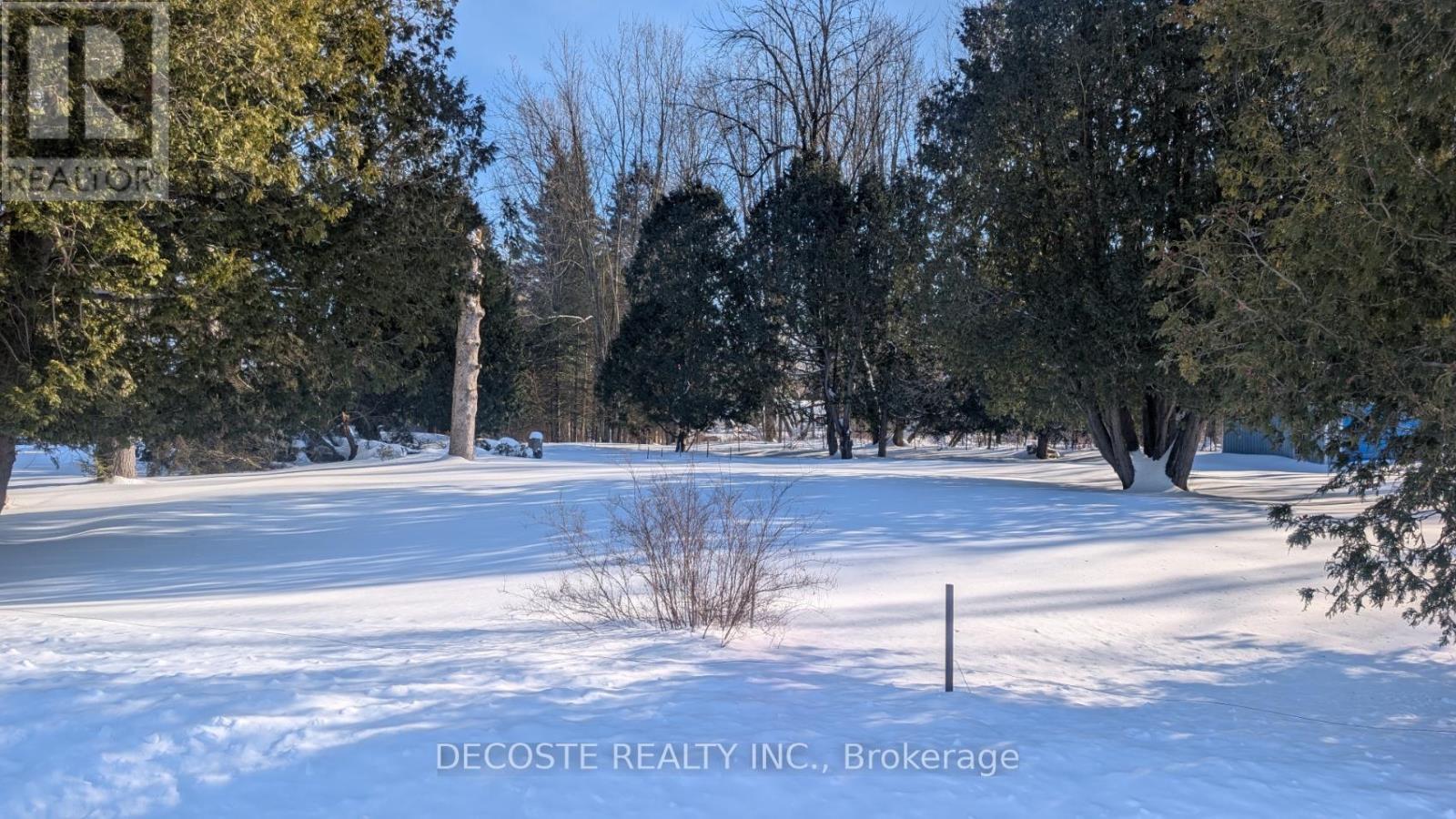 19092 Cameron Street, North Glengarry, Ontario  K0C 1A0 - Photo 7 - X12786144