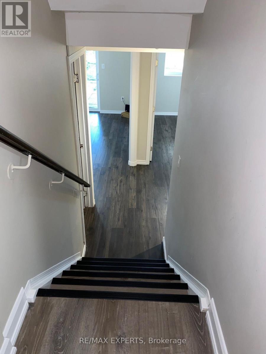 Bsmnt - 123 Albany Drive, Vaughan, Ontario  L4L 2X6 - Photo 4 - N12786092