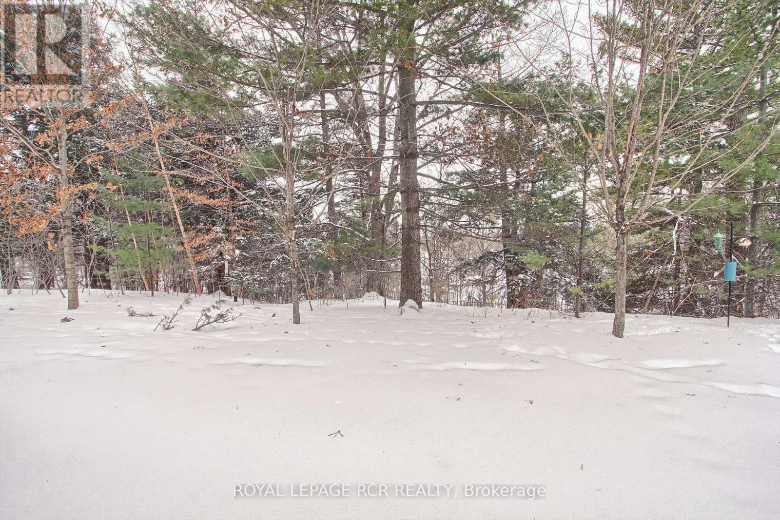 758 Wendy Culbert Crescent, Newmarket, Ontario  L3X 0A3 - Photo 38 - N12783104