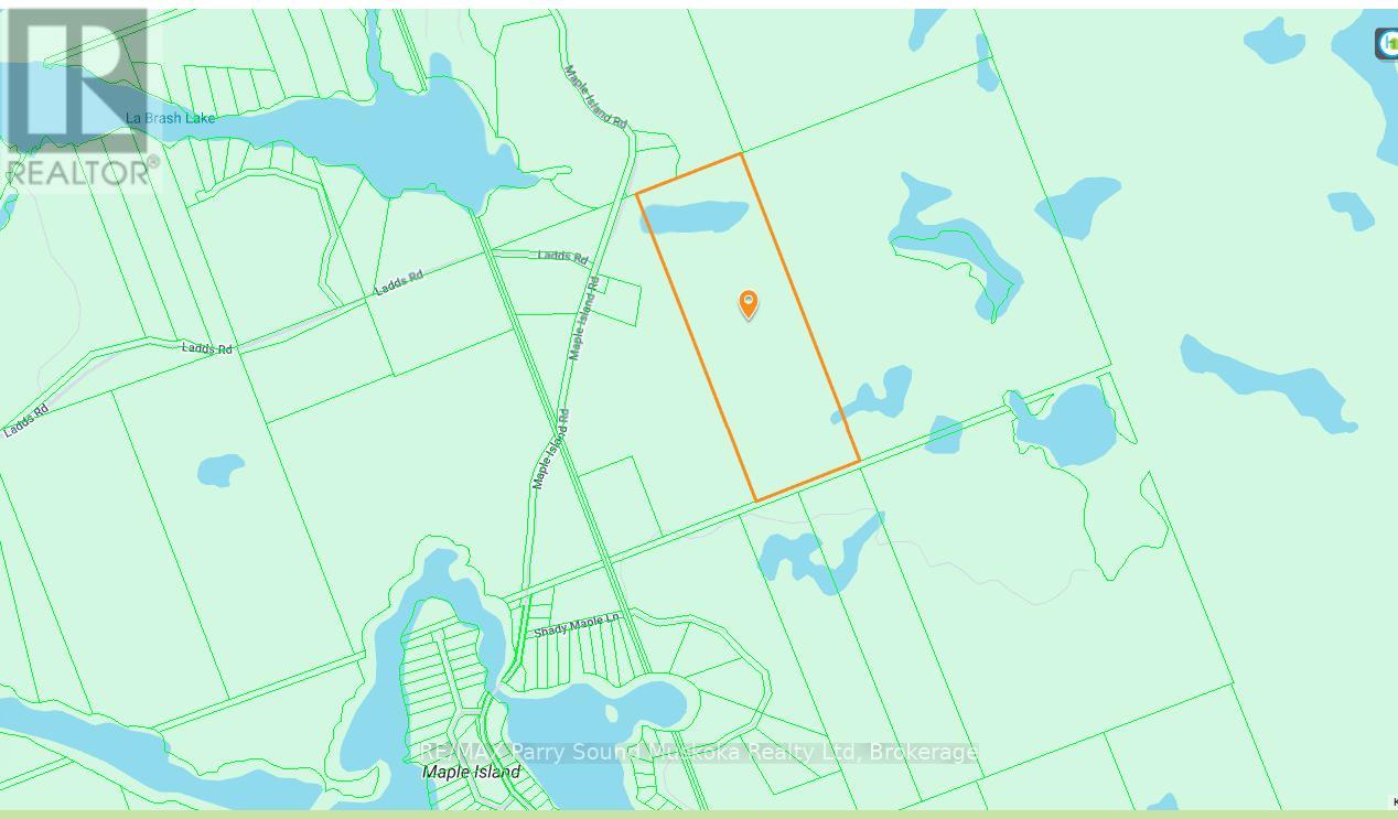 100 Maple Island Road, Whitestone, Ontario  P0A 1G0 - Photo 2 - X12786206