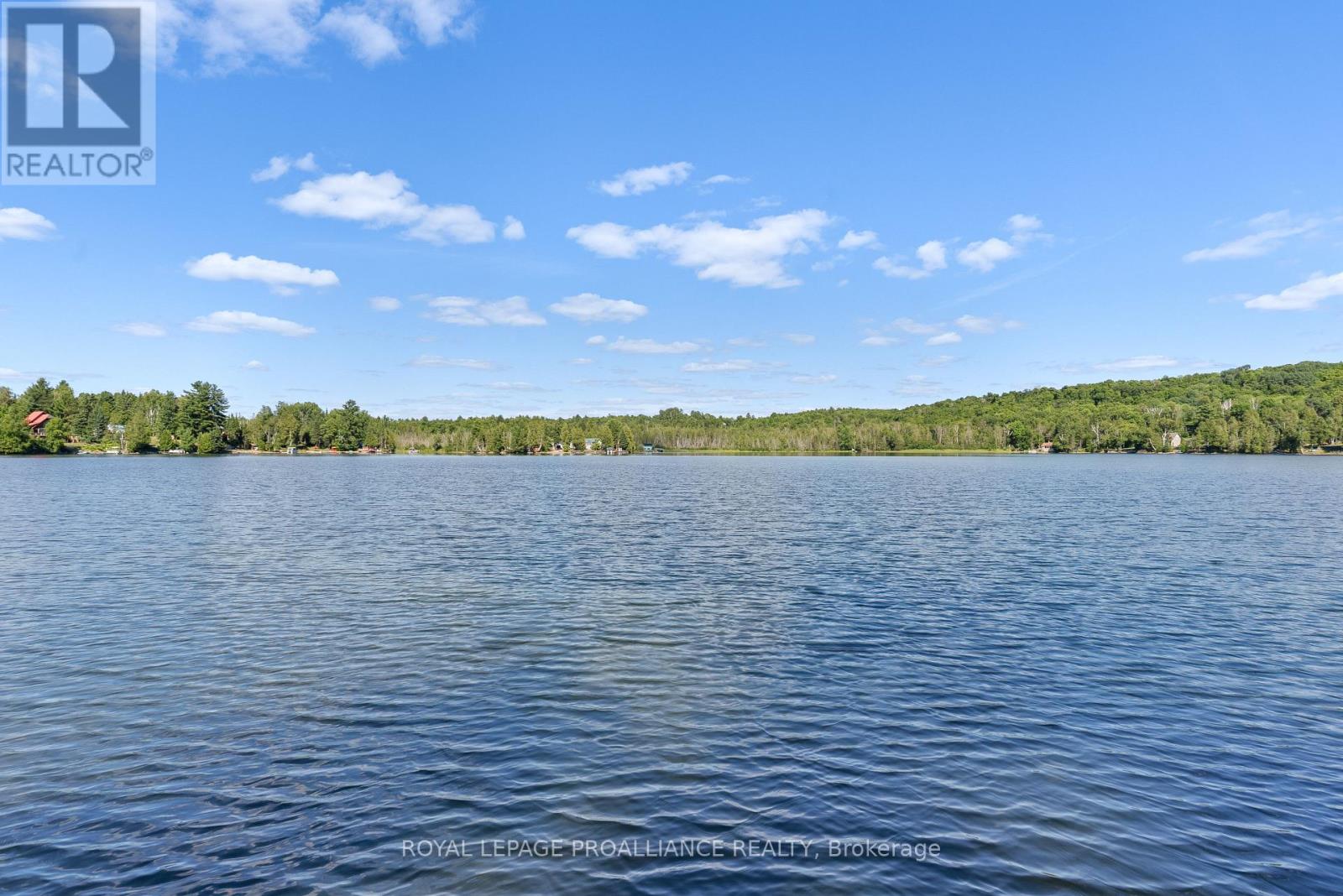 5 Water - Gunter Lake, Tudor And Cashel (Cashel Ward), Ontario  K0L 1W0 - Photo 37 - X12786220