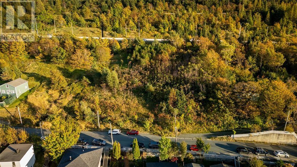 591 Southside Road, St. John's, Newfoundland & Labrador  A1E 1A4 - Photo 11 - 1294408