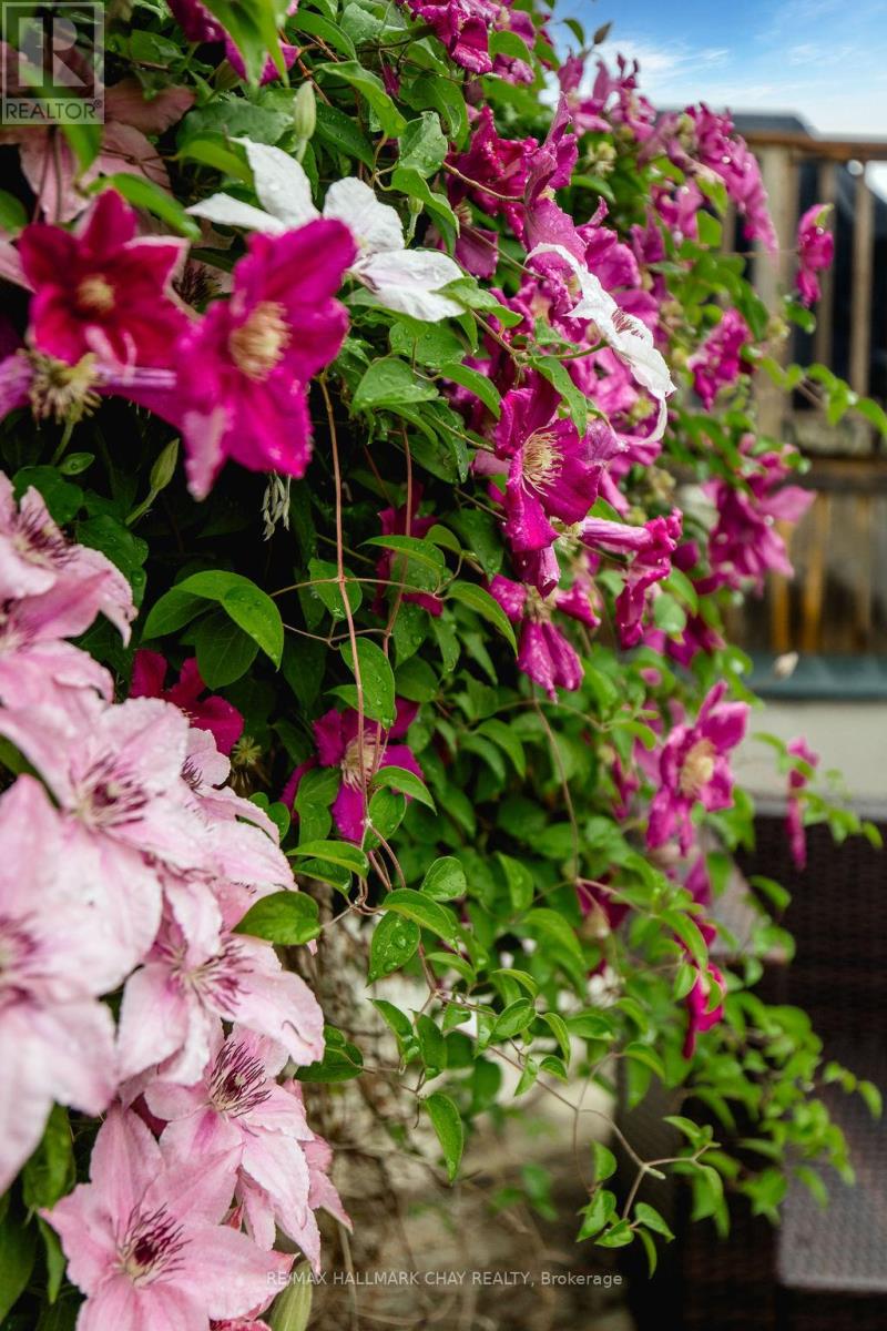 30 Waterview Road, Wasaga Beach, Ontario  L9A 1A4 - Photo 39 - S12786202