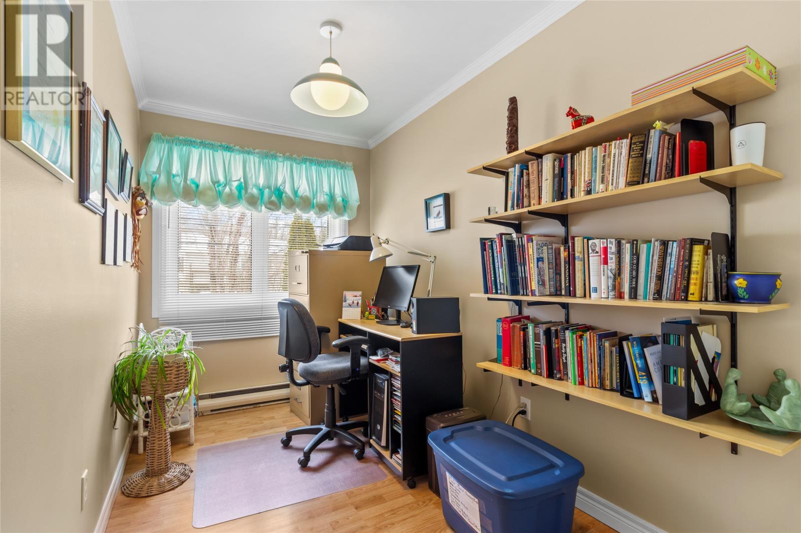 41 Lester Street, St. John's, Newfoundland & Labrador  A1E 2P5 - Photo 17 - 1294544