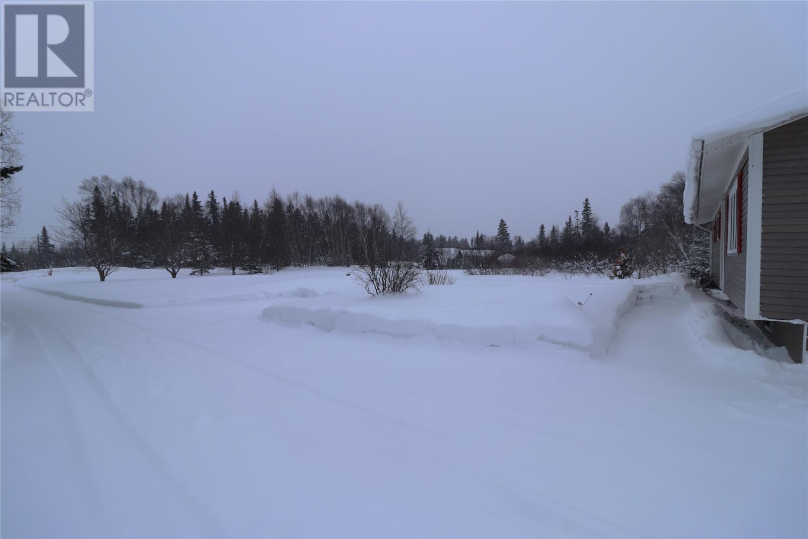 65 Veterans Drive, Cormack, Newfoundland & Labrador  A8A 2S1 - Photo 3 - 1294147