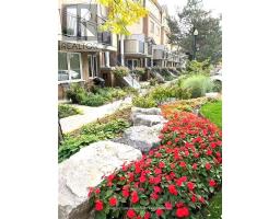 1002 - 28 SOMMERSET WAY, Toronto, Ontario